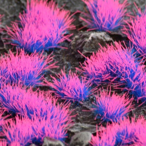 Gamer's Grass: Alien Neon