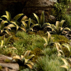 Gamer's Grass: Laser Plants - Deer Fern