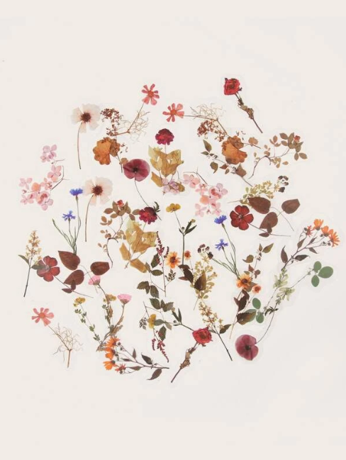 Dried Flower Sticker Pack