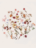 Dried Flower Sticker Pack