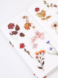 Dried Flower Sticker Pack