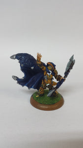 Circle Orboros: Blackclad Wayfarer (Painted)