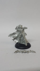 Hordes Legion of Everblight: Lylyth, Herald of Everblight (Unboxed and Assembled)