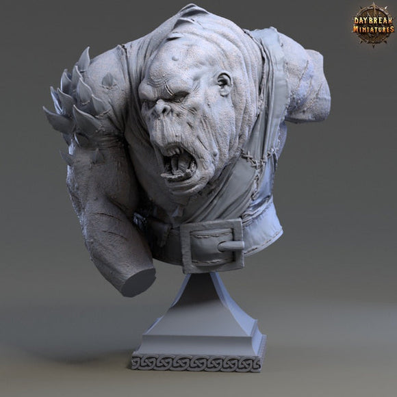 Madness 3D - Ork'aa Grim bust