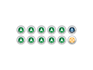 Micro Arts: N4 Infinity Tokens Regular Orders Green (12)